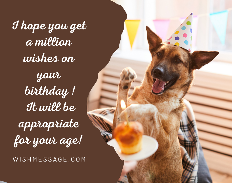Funny Happy Birthday Wishes Images Or Memes WishMessage