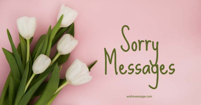 Sorry Simple Message 100+ Best I Am Sorry Messages which help to light up the mood
