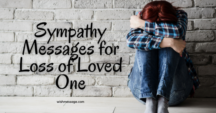 30 Best Sympathy Messages for Loss of loved one to a Friend 