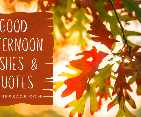 good-afternoon-wishes-quotes