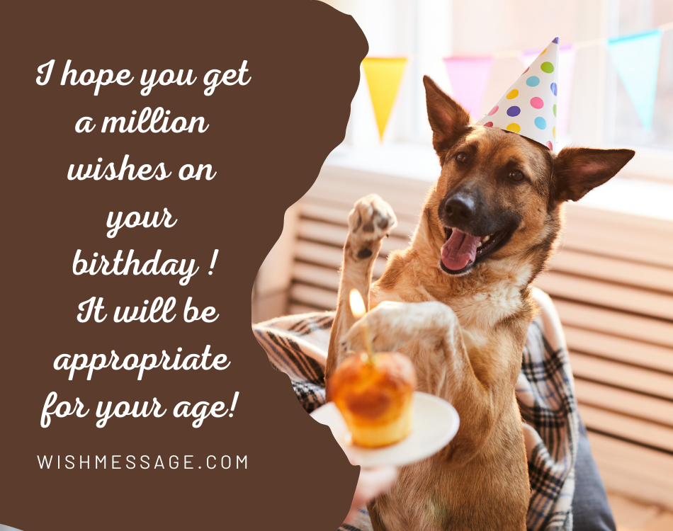 Funny Happy Birthday Wishes, Images or Memes WishMessage